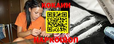 стафф Гатчина