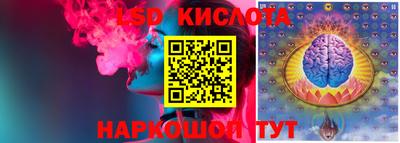 стафф Гатчина