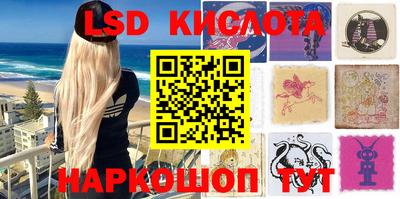стафф Гатчина