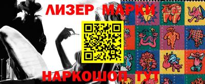 стафф Гатчина