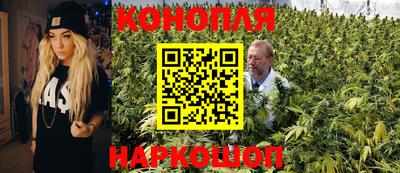 стафф Гатчина