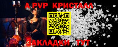 стафф Гатчина