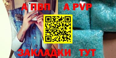 стафф Гатчина