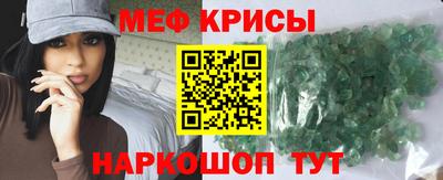 стафф Гатчина