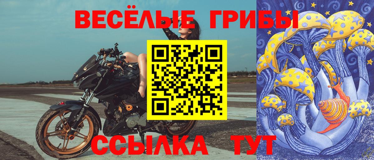 Псилоцибиновые грибы Psilocybine cubensis  Вход с VPN  закладки  Мценск 