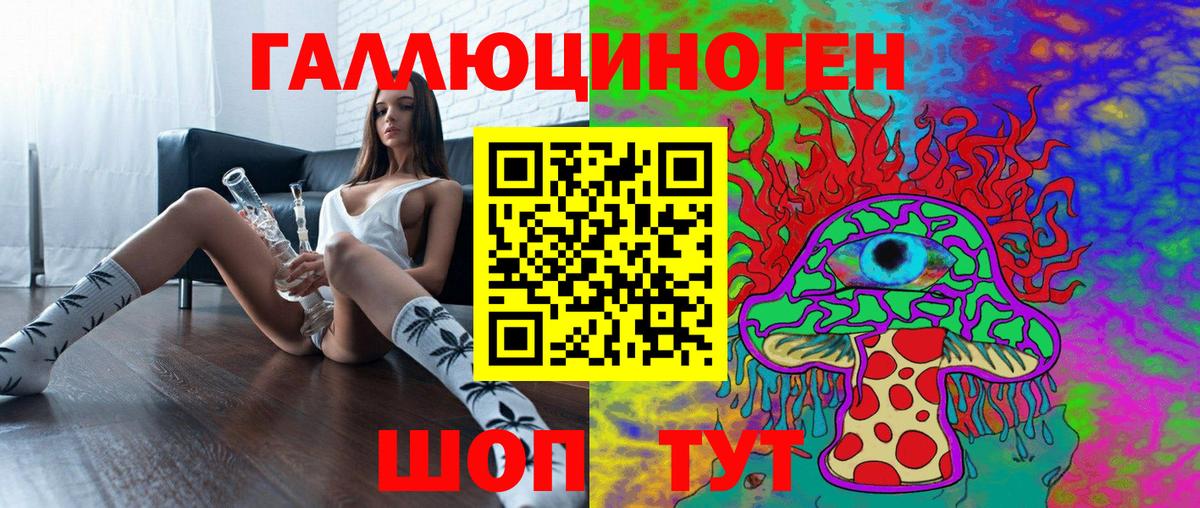Галлюциногенные грибы Psilocybe Мценск